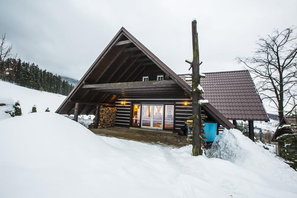 Chata Pod Lipami Hotel Rokytnice nad Jizerou Exterior foto