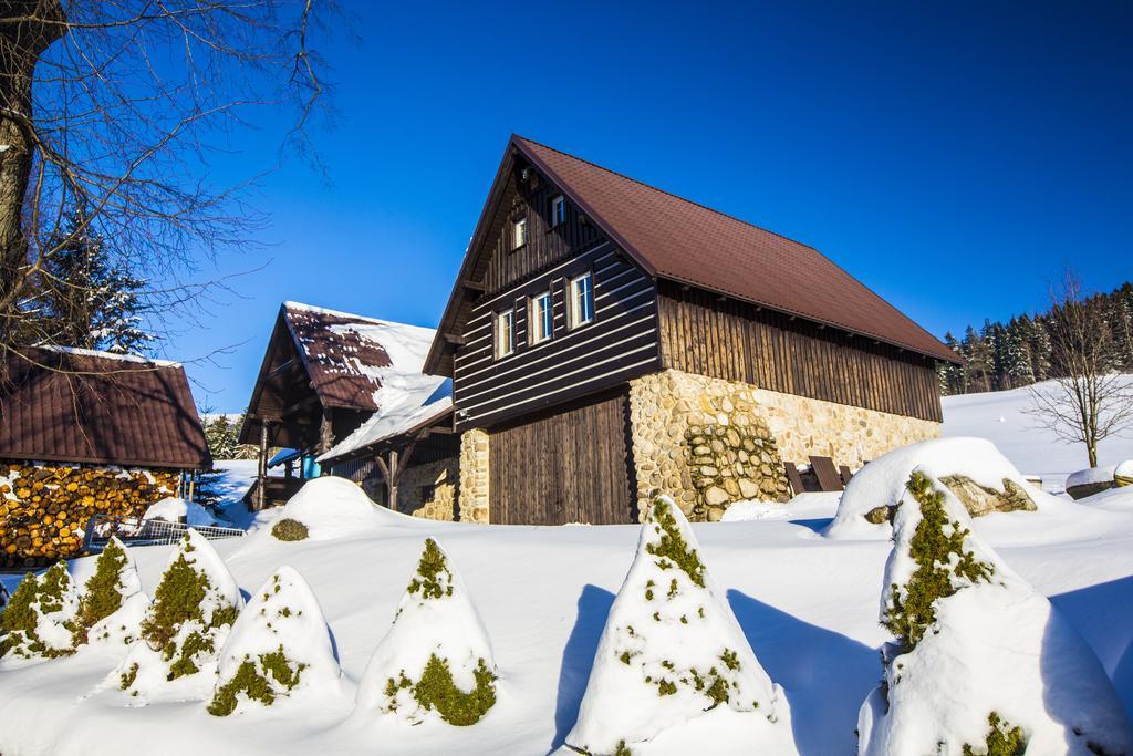 Chata Pod Lipami Hotel Rokytnice nad Jizerou Exterior foto